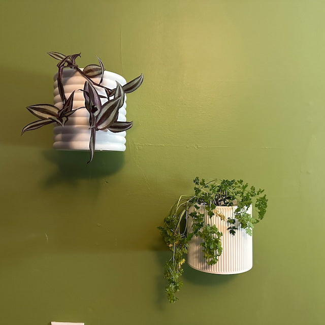 Wall Planter - The Heywood