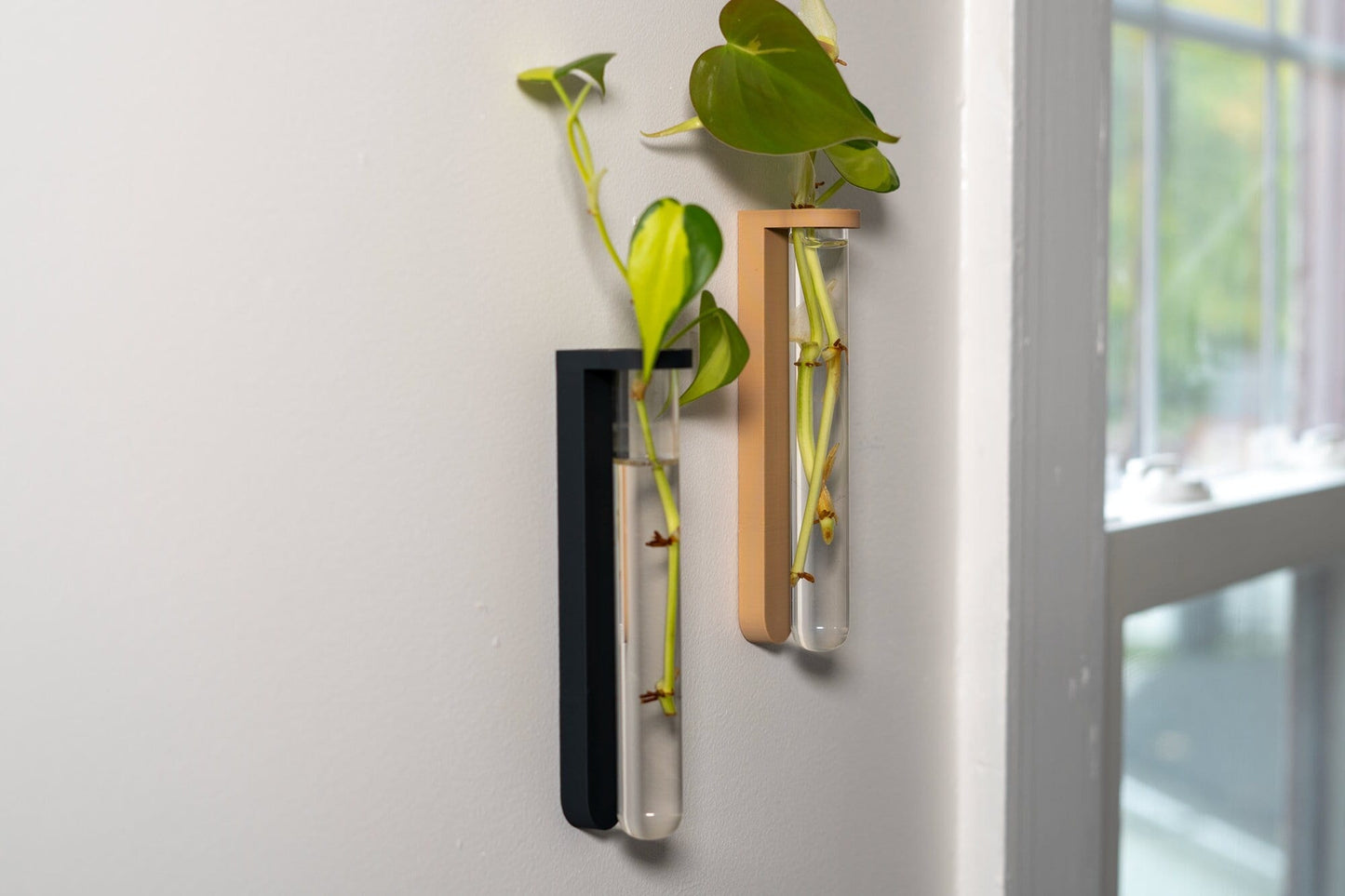 Wall Mounted Plant Propagation Station