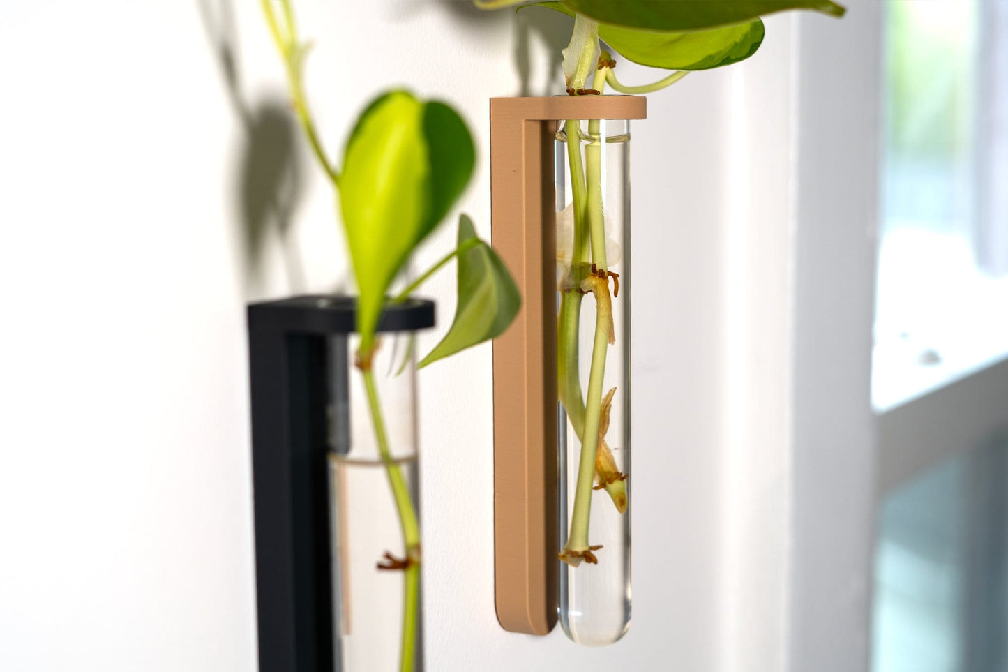 Wall Mounted Plant Propagation Station