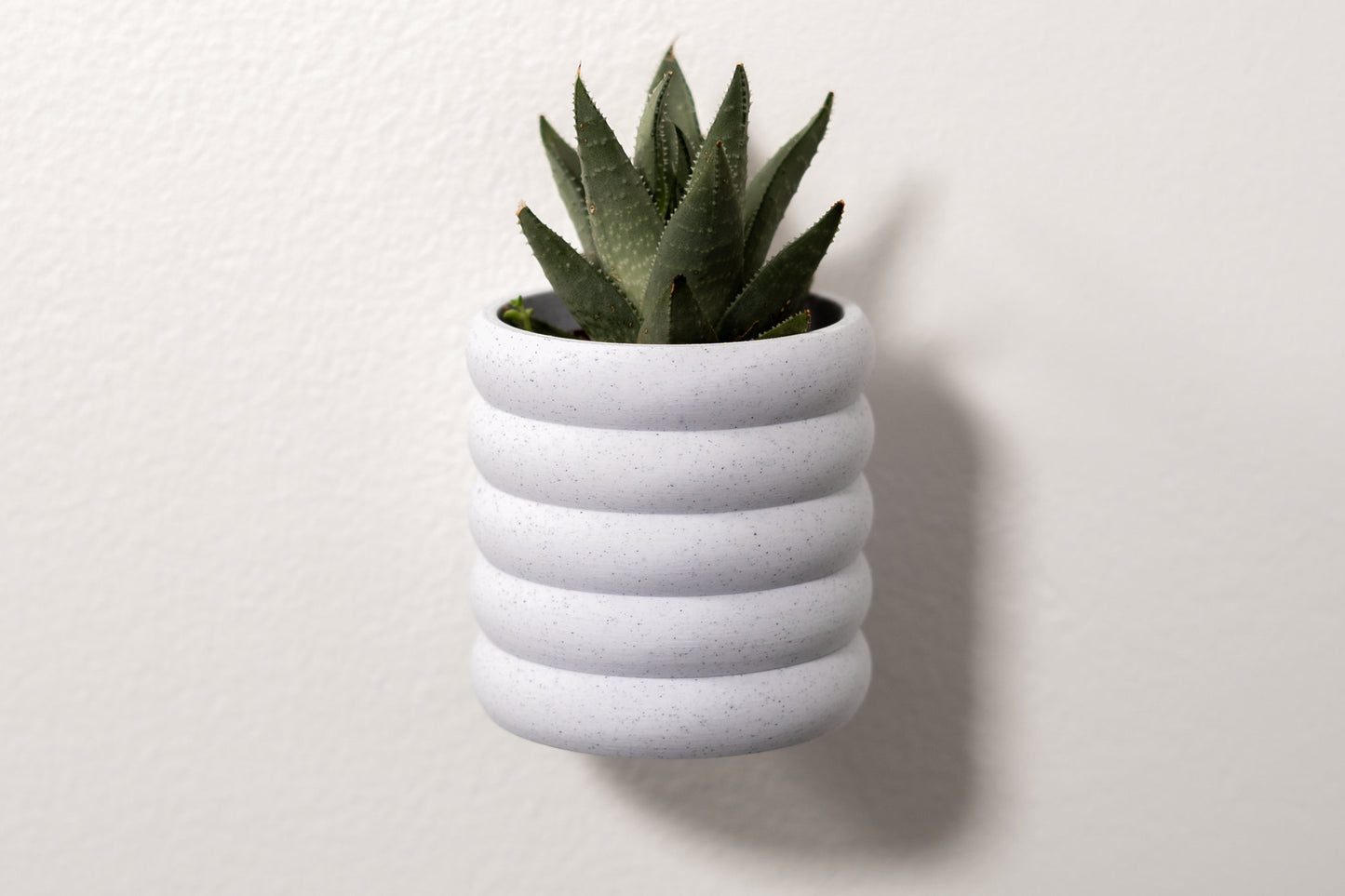 Wall Planter with Hidden Drip Tray - Big Bubbles