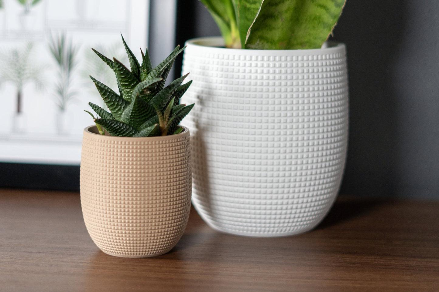 Tabletop Planter with Hidden Drip Tray - The Grid